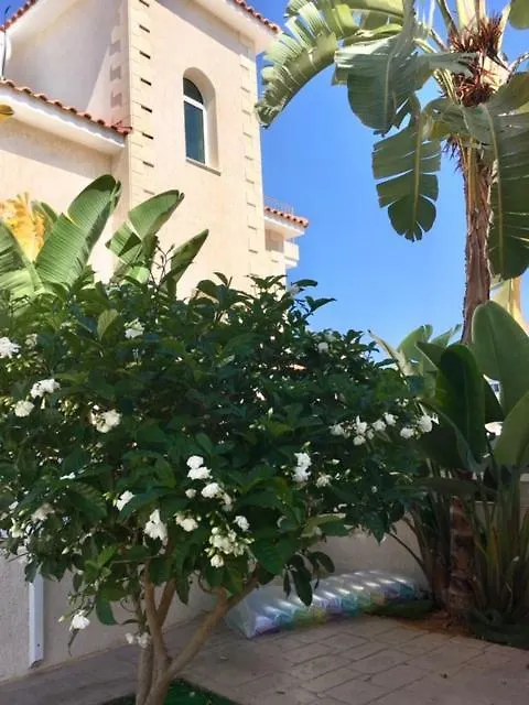 Palma Villa 14 프로타라스